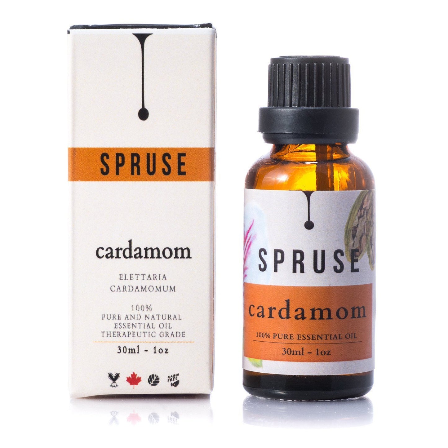 Cardamom Essential Oil - Spruse Essentials